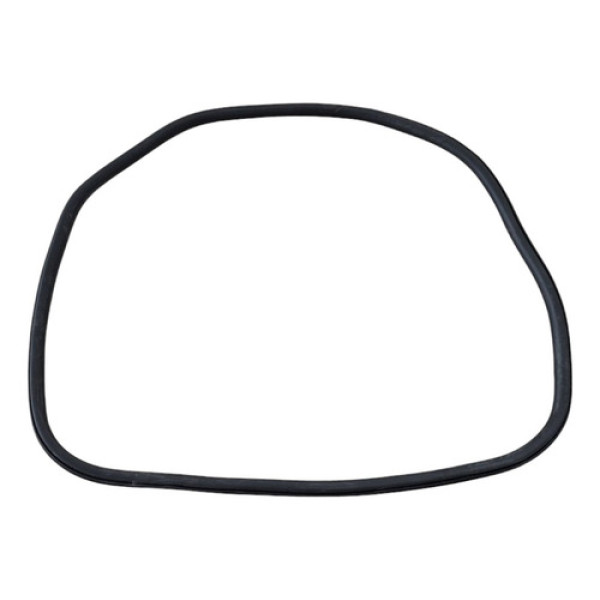 Borracha Porta Traseira Direita Fusion 2.0 2014 A 2017