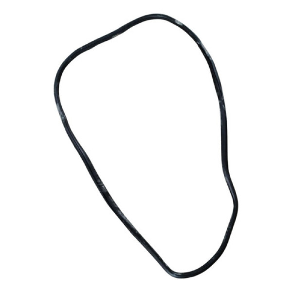 Borracha Da Porta Traseira Esquerda Honda City 1.5 2024