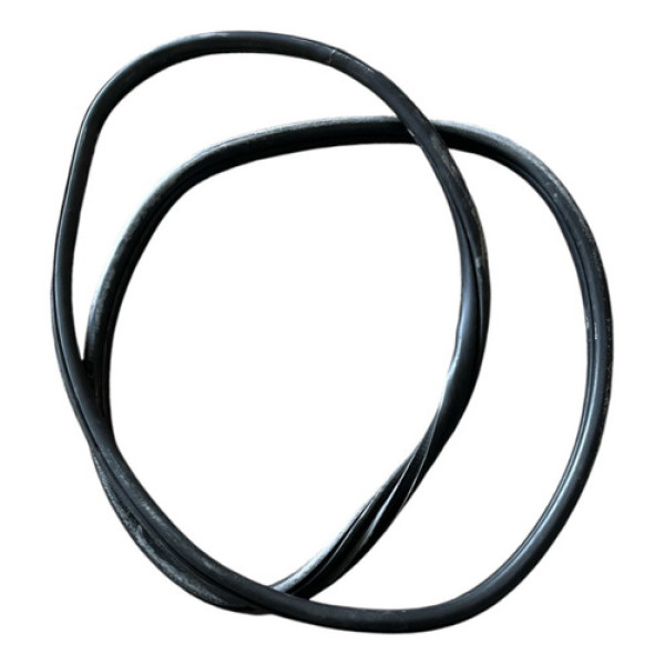 Borracha Vedação Porta Dianteira Direita Bmw 320i 2.0 2015