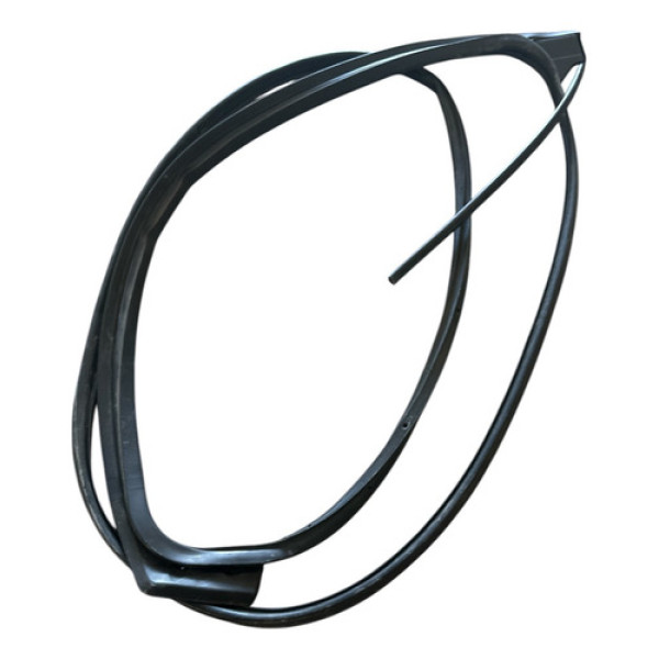 Borracha Porta Dianteira  Bmw 320i 2013-2016