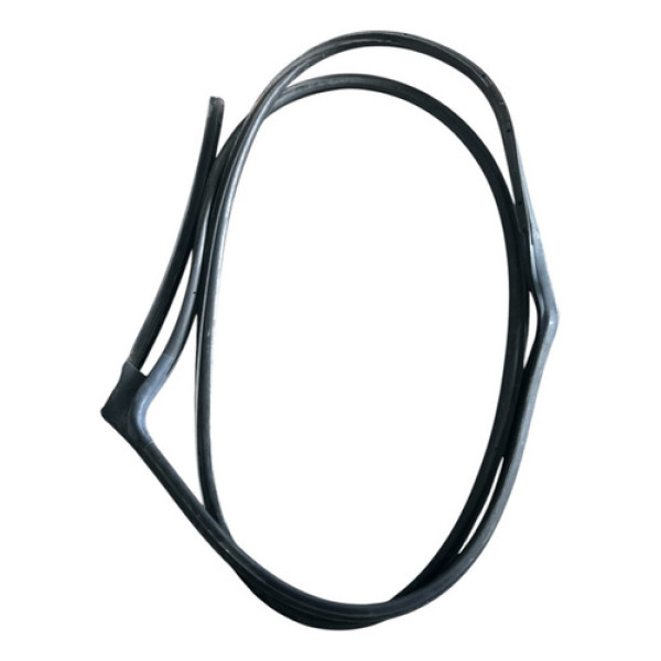 Borracha Porta  Traseira Esquerda Honda Civic 2017-2020